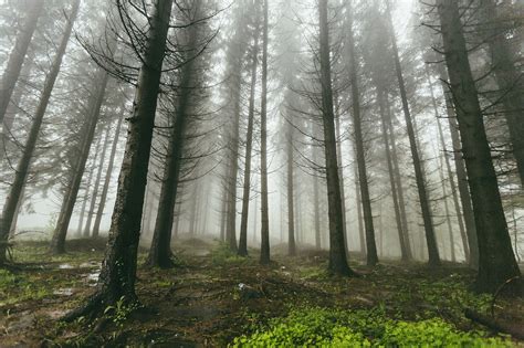 imagens peladas|Mais de 500 fotos gratuitas de Nuas e Natureza